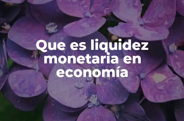 Que es Liquidez Monetaria en Economía