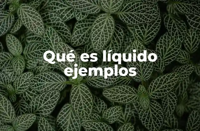 Qué es Líquido Ejemplos