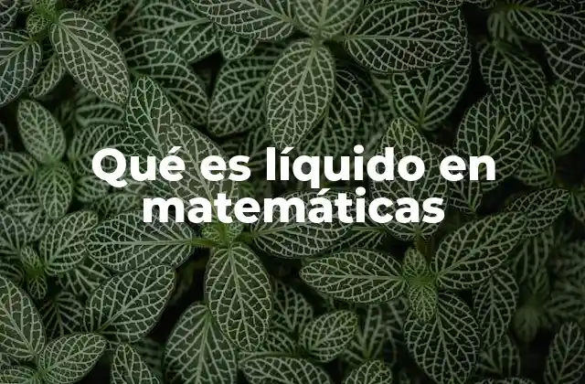 Qué es Líquido en Matemáticas