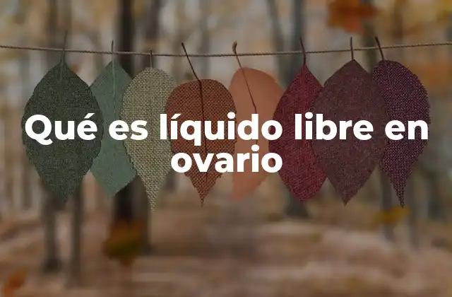 Qué es Líquido Libre en Ovario