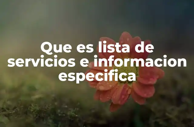 Que es Lista de Servicios e Informacion Especifica