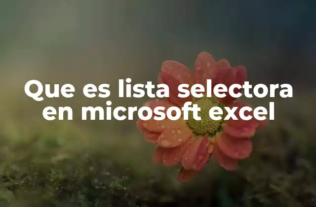 Que es Lista Selectora en Microsoft Excel