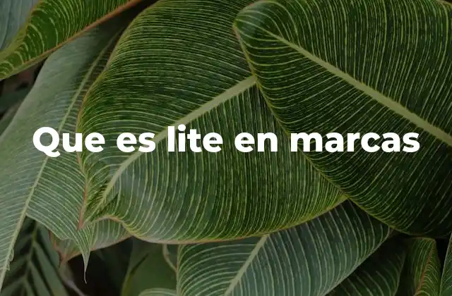 El impacto del término lite en la estrategia de marketing