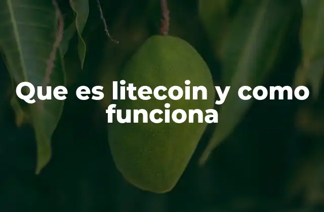 Que es Litecoin y como Funciona