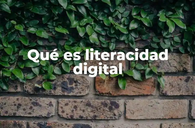 Qué es Literacidad Digital