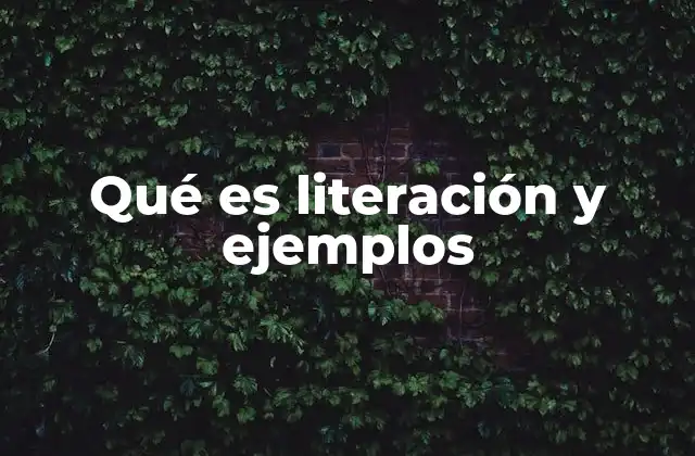 Qué es Literación y Ejemplos