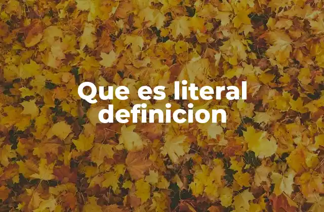 Que es Literal Definicion