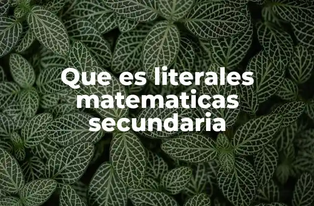 El papel de las literales en la transición del cálculo aritmético al algebraico