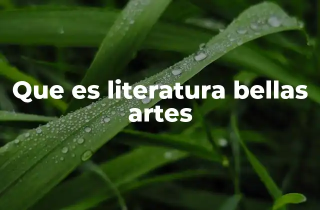 Que es Literatura Bellas Artes
