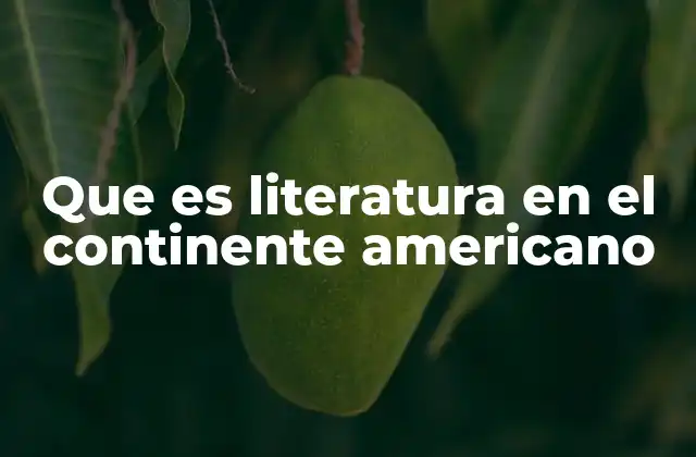Que es Literatura en el Continente Americano 2 La evolución de la expresión literaria en América
