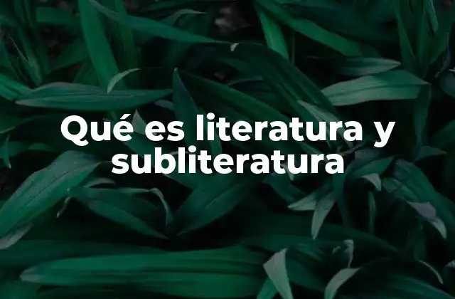 Qué es Literatura y Subliteratura