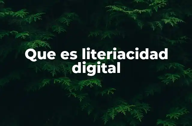 Que es Literiacidad Digital