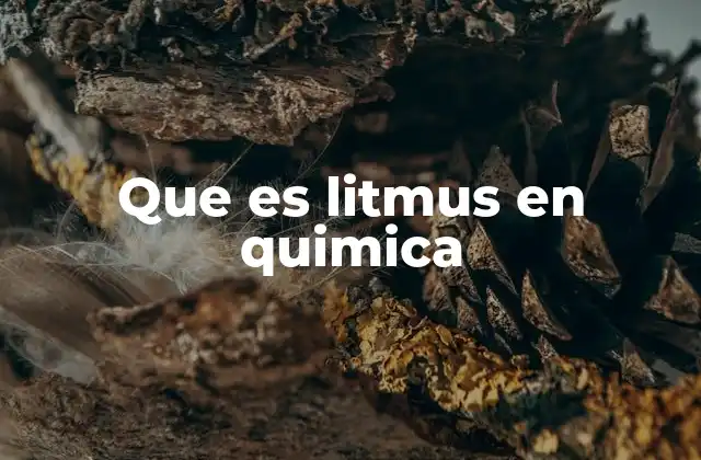 Que es Litmus en Quimica