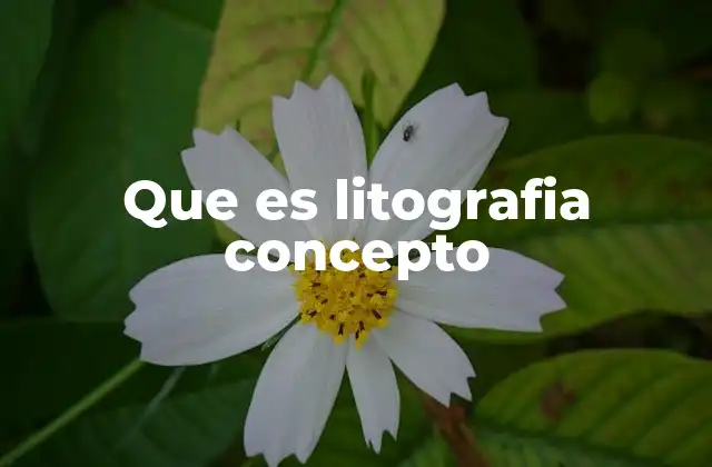 Que es Litografia Concepto