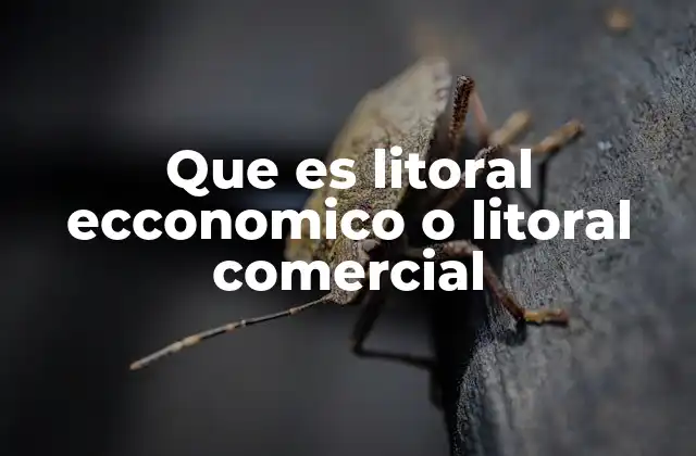 Que es Litoral Ecconomico o Litoral Comercial