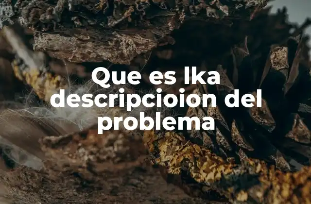 Que es Lka Descripcioion Del Problema
