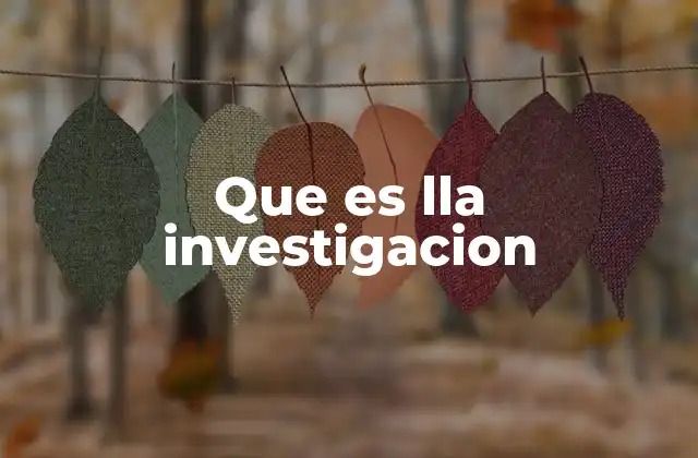Que es Lla Investigacion
