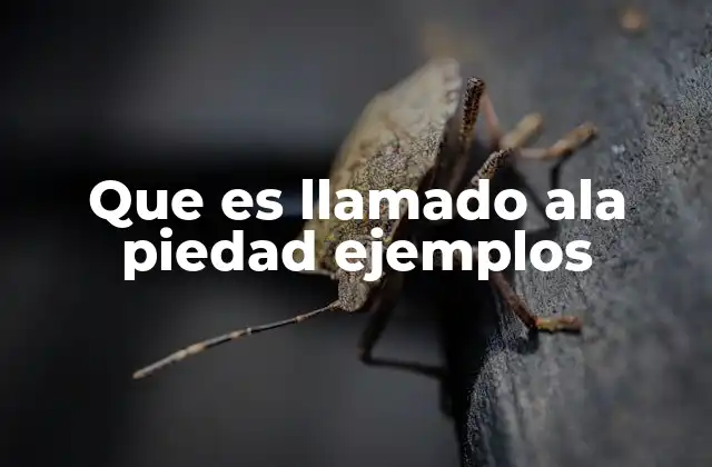 Que es Llamado Ala Piedad Ejemplos