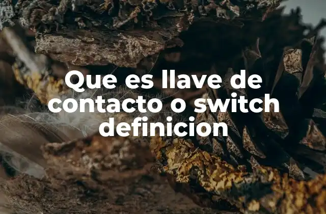 Que es Llave de Contacto o Switch Definicion