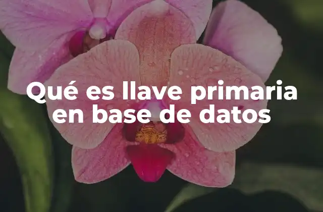 Qué es Llave Primaria en Base de Datos