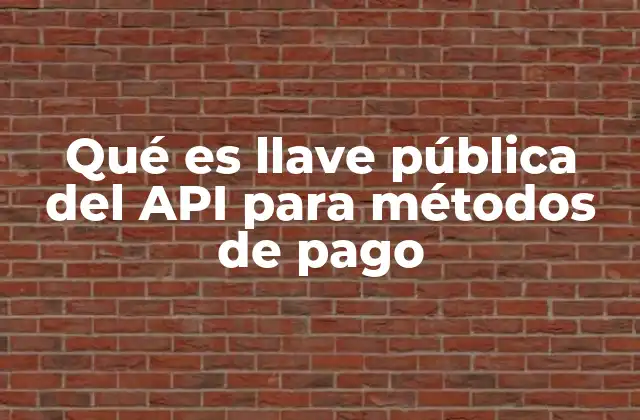 Qué es Llave Pública Del Api para Métodos de Pago