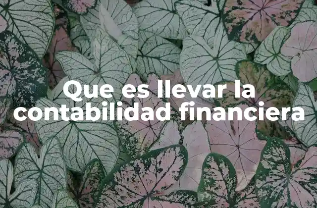Que es Llevar la Contabilidad Financiera