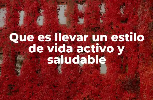 Que es Llevar un Estilo de Vida Activo y Saludable
