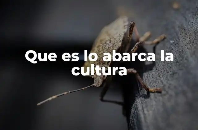 La cultura como reflejo de la identidad humana