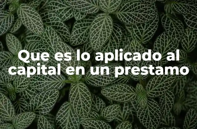 Que es Lo Aplicado Al Capital en un Prestamo