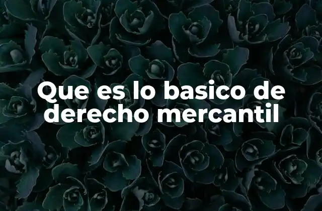 Que es Lo Basico de Derecho Mercantil