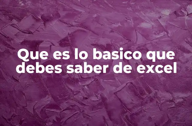 Que es Lo Basico que Debes Saber de Excel