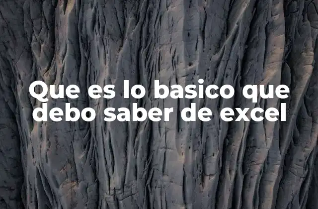 Que es Lo Basico que Debo Saber de Excel