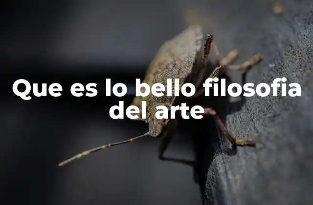 Que es Lo Bello Filosofia Del Arte