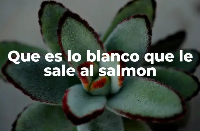 Que es Lo Blanco que Le Sale Al Salmon