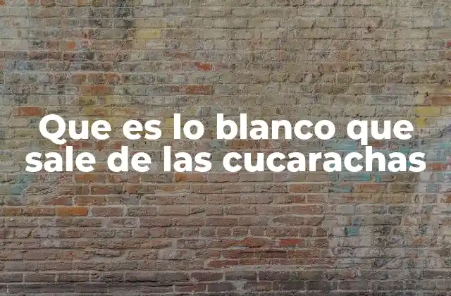 Que es Lo Blanco que Sale de las Cucarachas