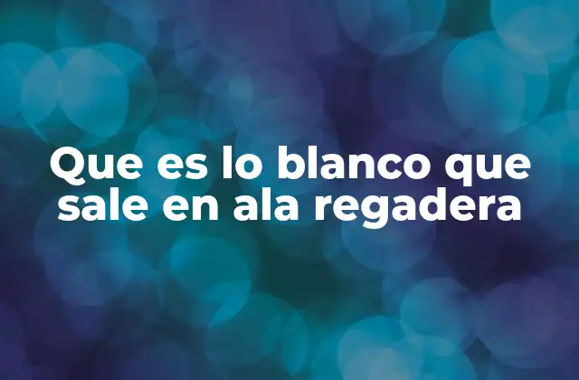 Causas del material blanco en la regadera