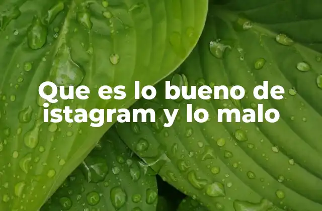 Que es Lo Bueno de Istagram y Lo Malo