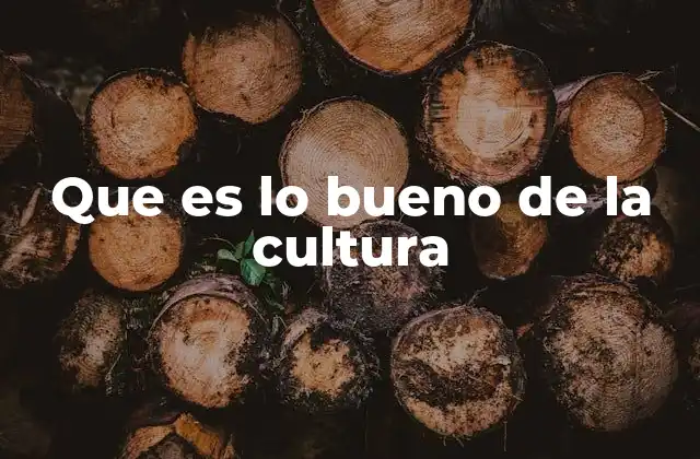 Cómo la cultura fomenta el entendimiento mutuo