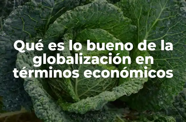 Qué es Lo Bueno de la Globalización en Términos Económicos