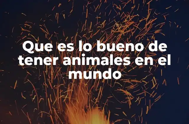 Que es Lo Bueno de Tener Animales en el Mundo