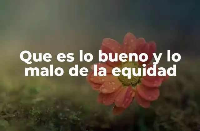Que es Lo Bueno y Lo Malo de la Equidad