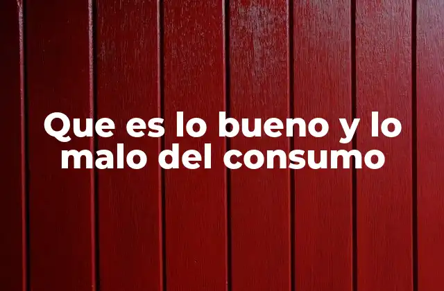 Que es Lo Bueno y Lo Malo Del Consumo