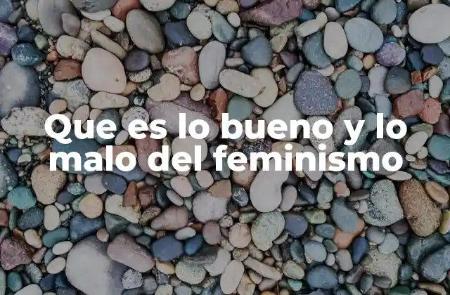 Que es Lo Bueno y Lo Malo Del Feminismo