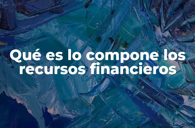 Qué es Lo Compone los Recursos Financieros