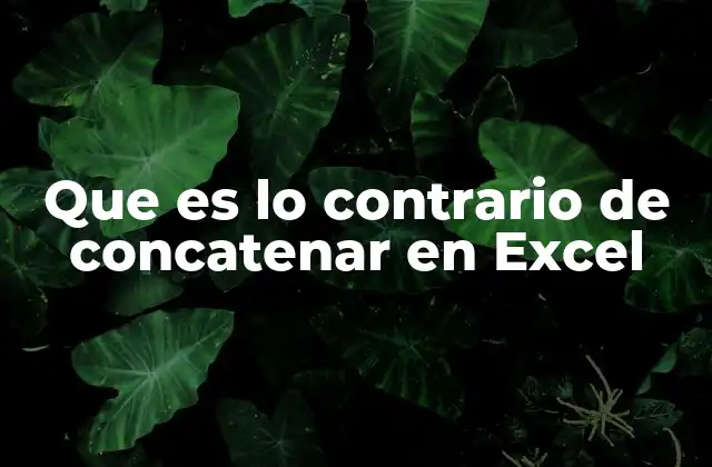 Que es Lo Contrario de Concatenar en Excel