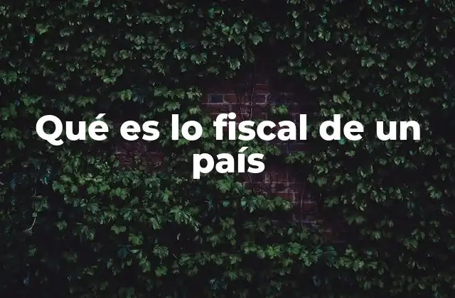 Qué es Lo Fiscal de un País