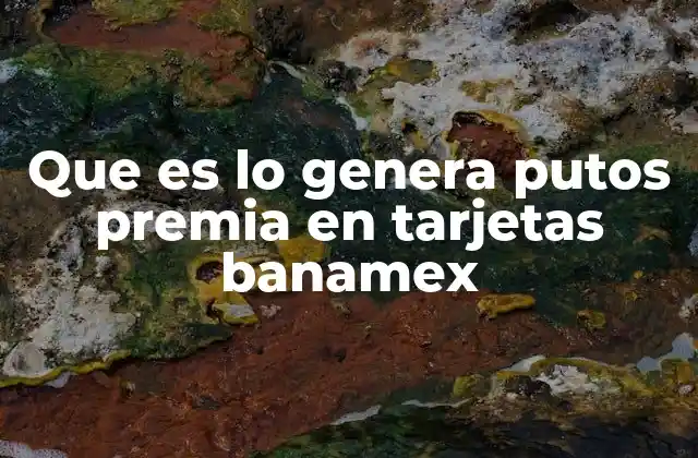 Cómo funcionan los Puntos Premia en el sistema de Banamex