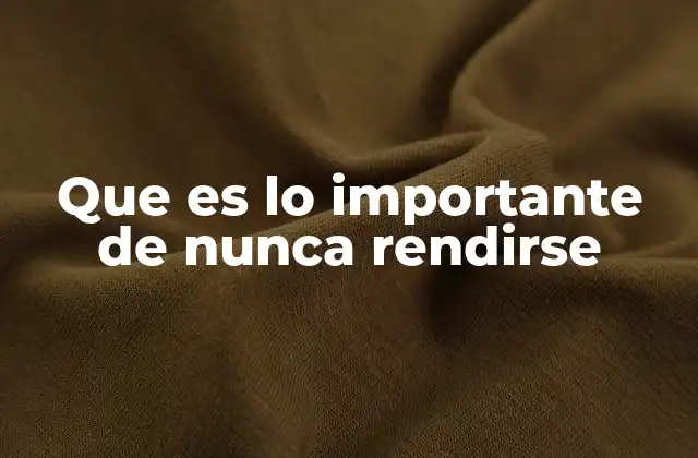 Que es Lo Importante de Nunca Rendirse