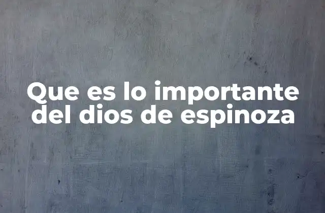 Que es Lo Importante Del Dios de Espinoza