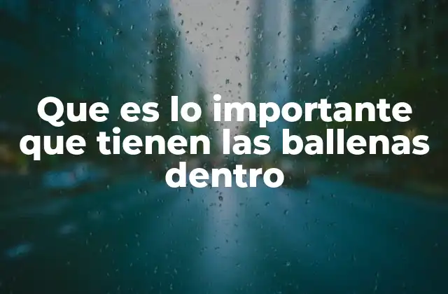 Que es Lo Importante que Tienen las Ballenas Dentro 2 Lo que ocurre en el interior de estas criaturas y su impacto en el mundo marino